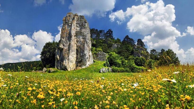 ホテル Gasthof Zur Sonne