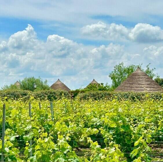 فندق Is Cheas Wine Farm Boutique