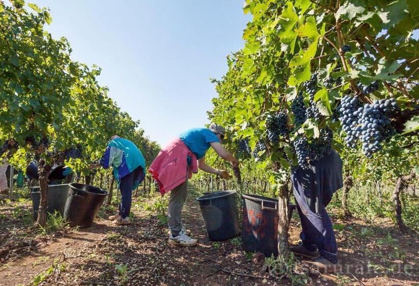 ホテル Masseria Ferri