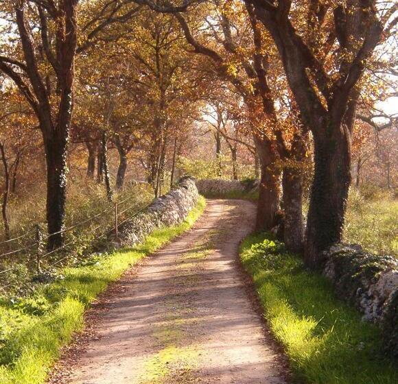 ホテル Masseria Ferri