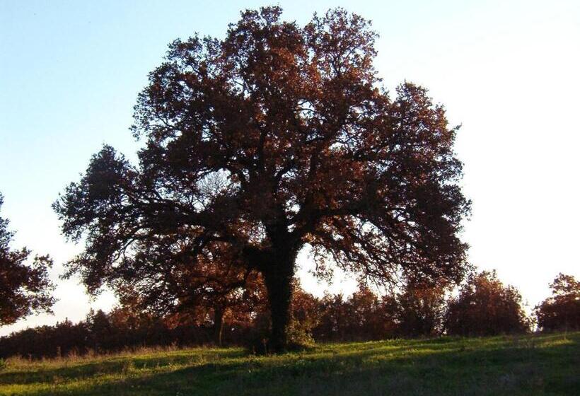 ホテル Masseria Ferri