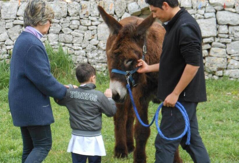 ホテル Masseria Ferri