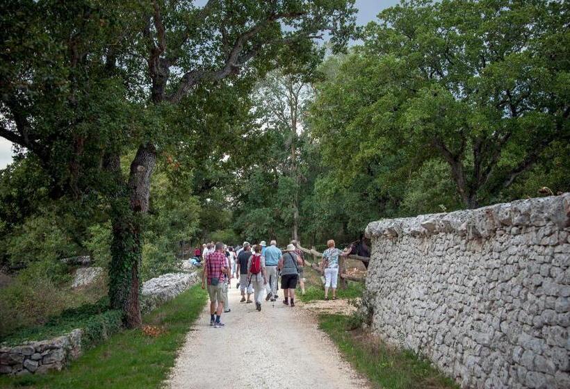 ホテル Masseria Ferri