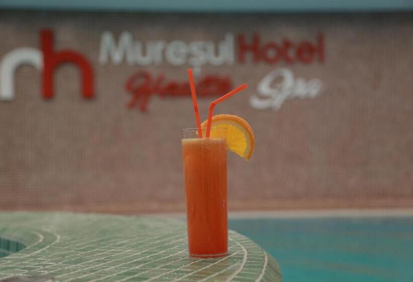 هتل Muresul Health Spa