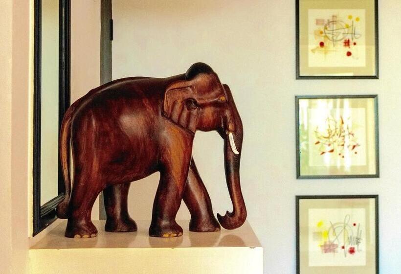 هتل Petit Elephant