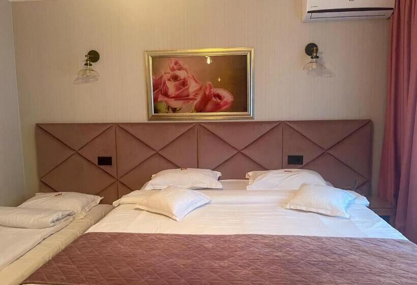 酒店 Roser House Boutique   Pe Malul Lacului Colibita