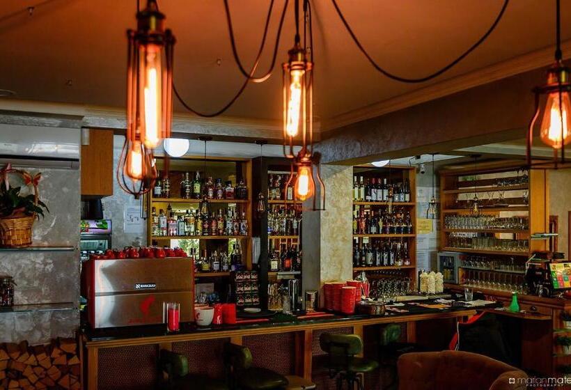 酒店 Roser House Boutique   Pe Malul Lacului Colibita