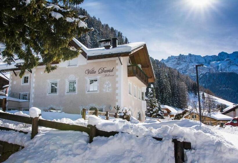 فندق Villa David Dolomites