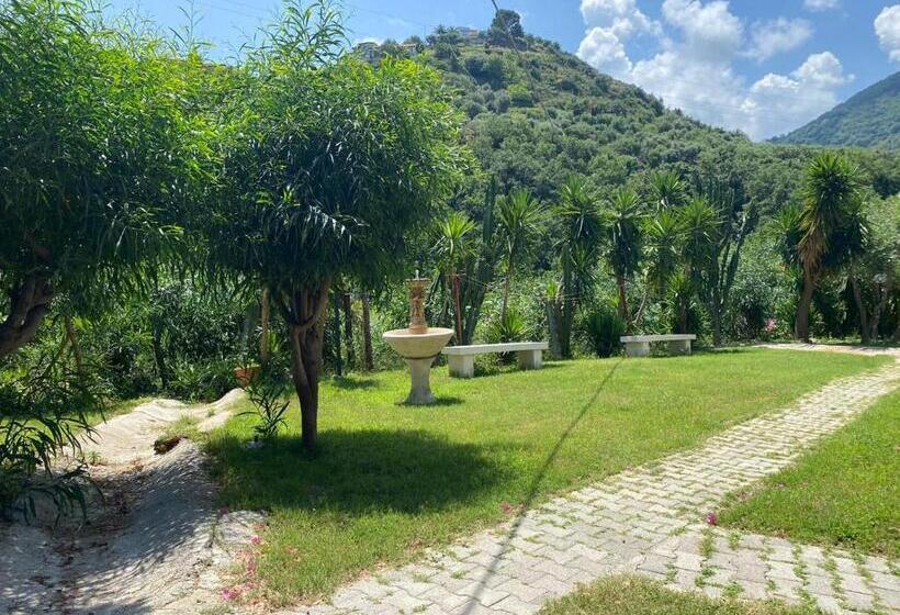 Michelangelo S House