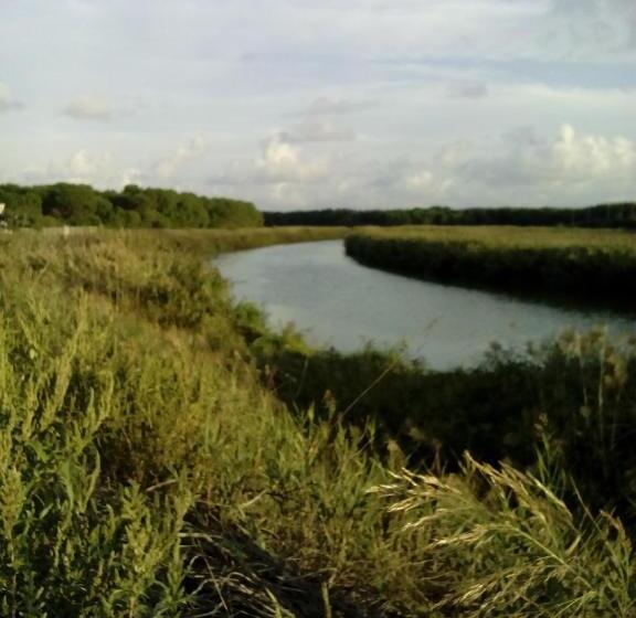 Mylife B&b Country House