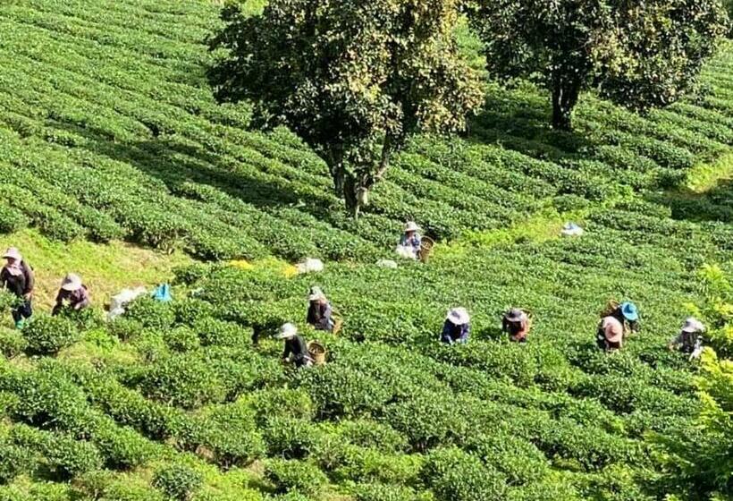 펜션 Baan Ruam Cha