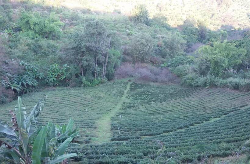 펜션 Baan Ruam Cha