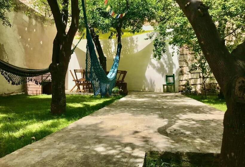 膳宿费 Boipeba Guesthouse