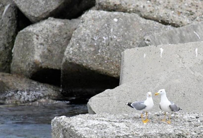 بنسيون Casa Dei Saraceni