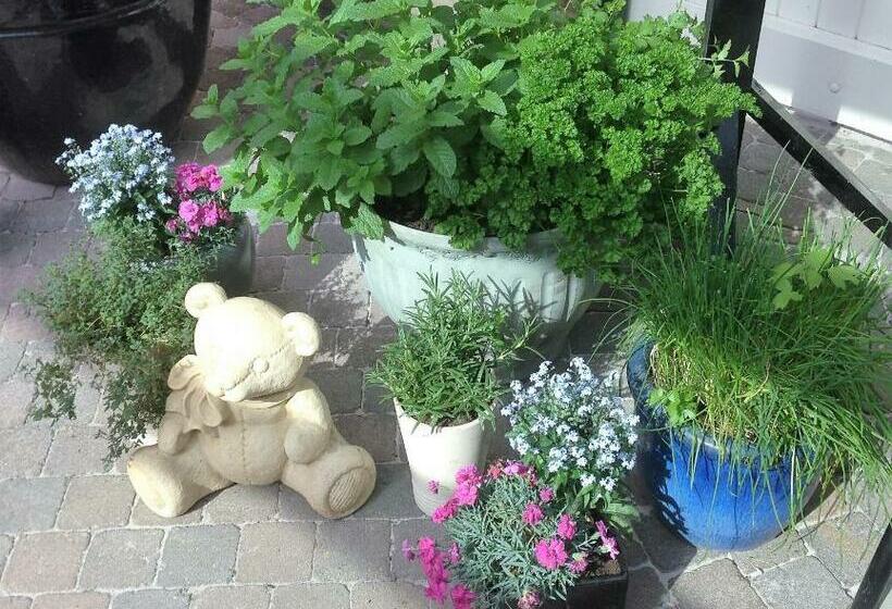 膳宿费 Elegance Hamont