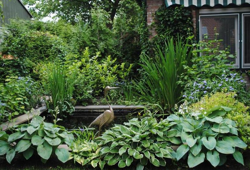 膳宿费 Elegance Hamont