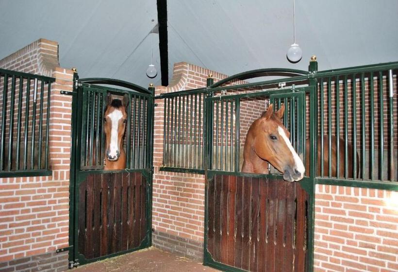 膳宿费 Elegance Hamont