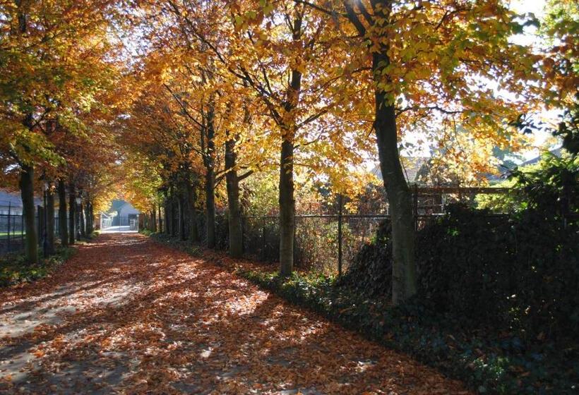 膳宿费 Elegance Hamont