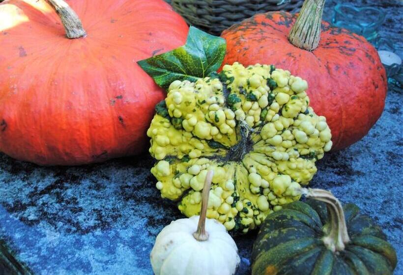 膳宿费 Elegance Hamont