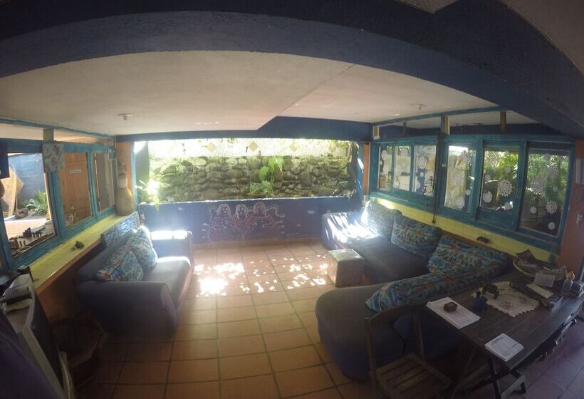 Пансион Golfinho Tropical Hostel E Pousada