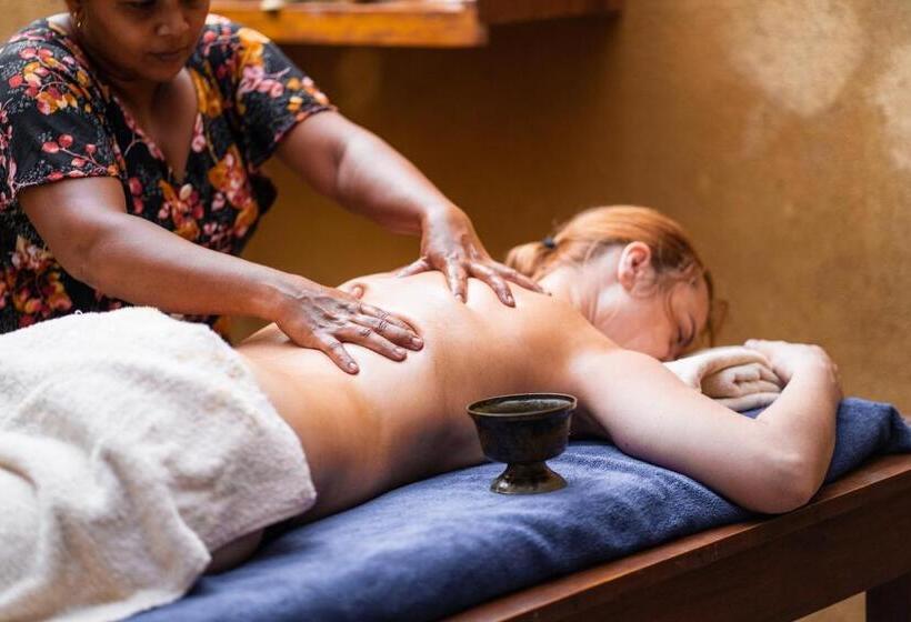 膳宿费 Happy Man Village