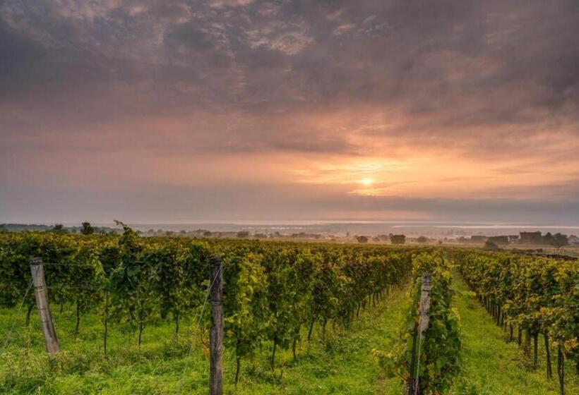 Пансион Haus Martin Schneeberger