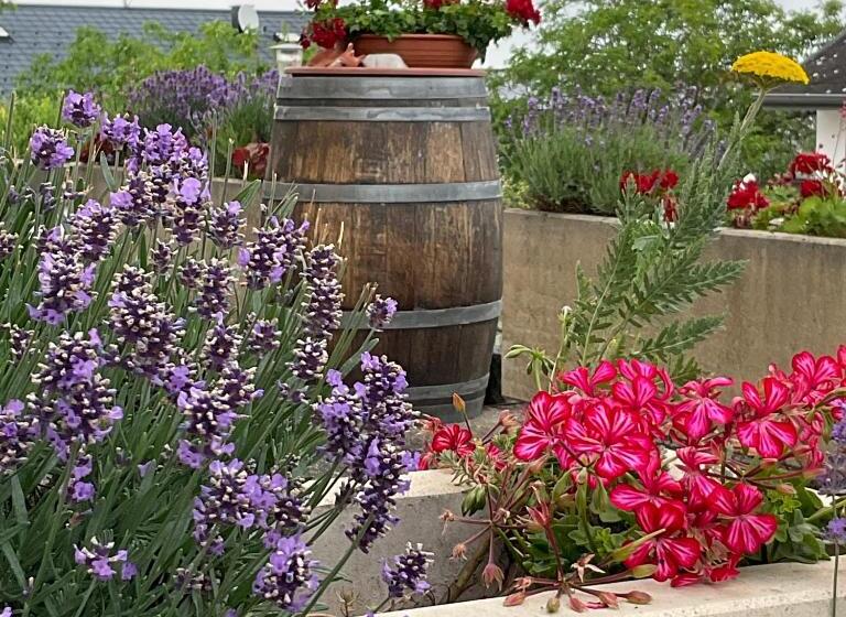 Пансион Haus Martin Schneeberger