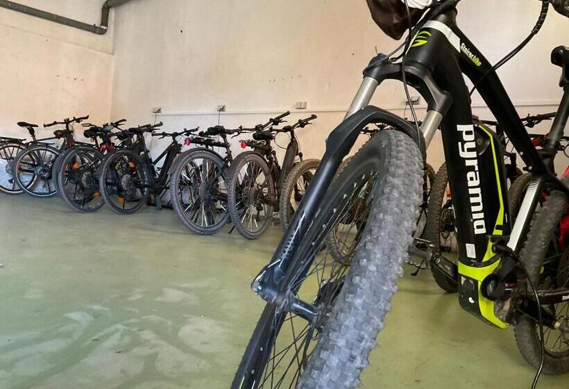 Пансион Haus Martin Schneeberger