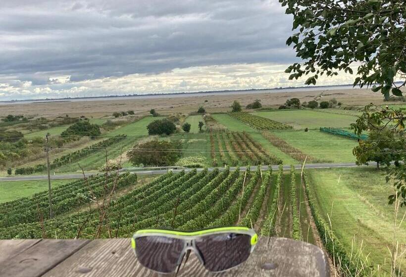 Пансион Haus Martin Schneeberger