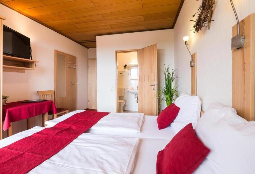 Пансион Haus Martin Schneeberger