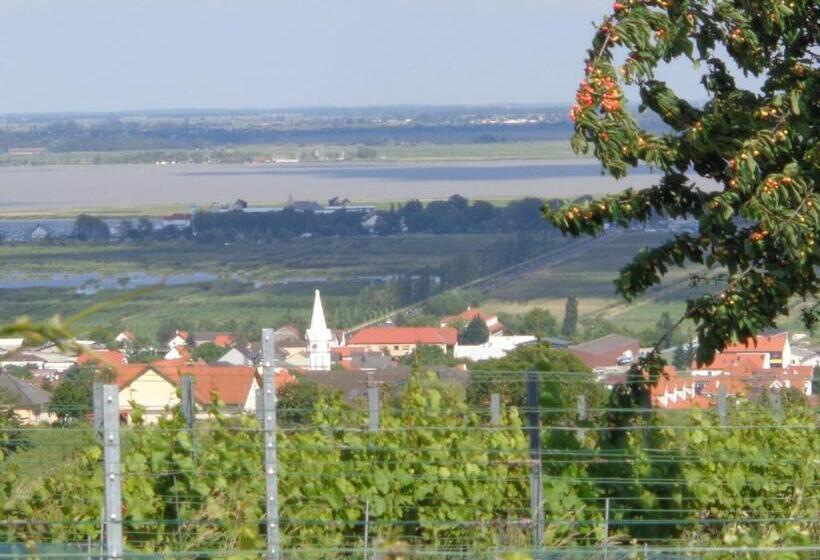 Пансион Haus Martin Schneeberger