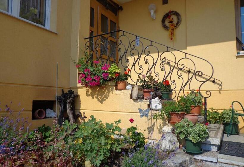 Пансион Haus Martin Schneeberger