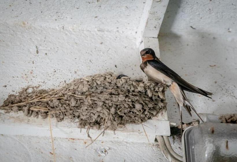 Пансион Haus Martin Schneeberger