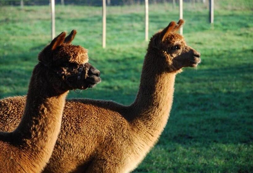 펜션 La Bergerie   Gîte Et Chambres D Hôtes