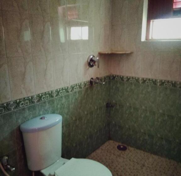 פנסיון Menezes House