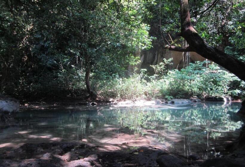 膳宿费 Mini Tiga Homestay