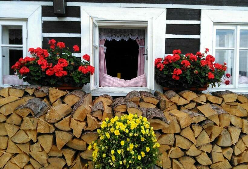 膳宿费 Penzion U Piráta