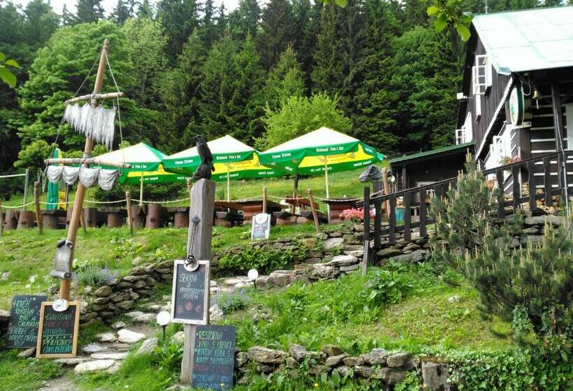 膳宿费 Penzion U Piráta