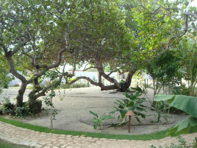 Пансион Pousada Chica Pitanga