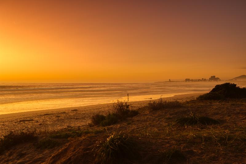 ペンション Atlantic Palms