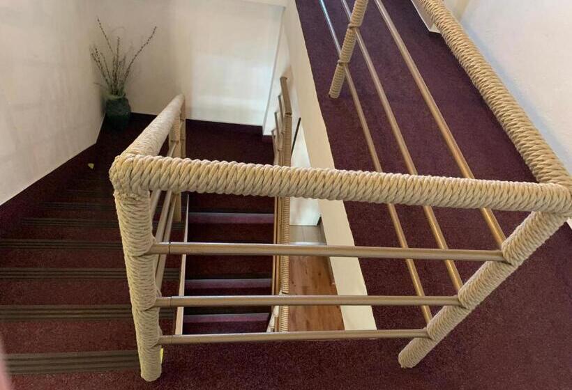 بنسيون Ubytovanie Violet