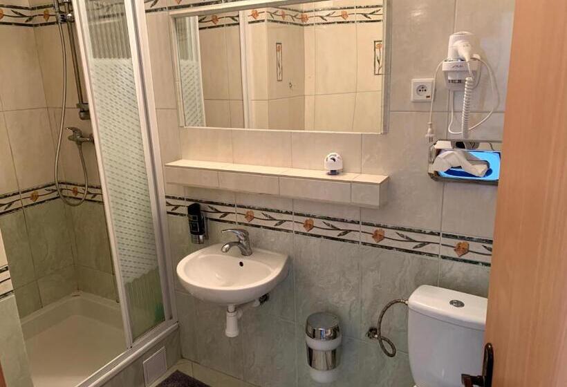 بنسيون Ubytovanie Violet