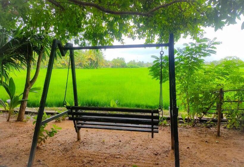 膳宿费 V Cabanas & Yala Safari Place