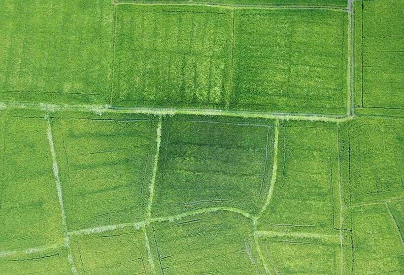 膳宿费 V Cabanas & Yala Safari Place