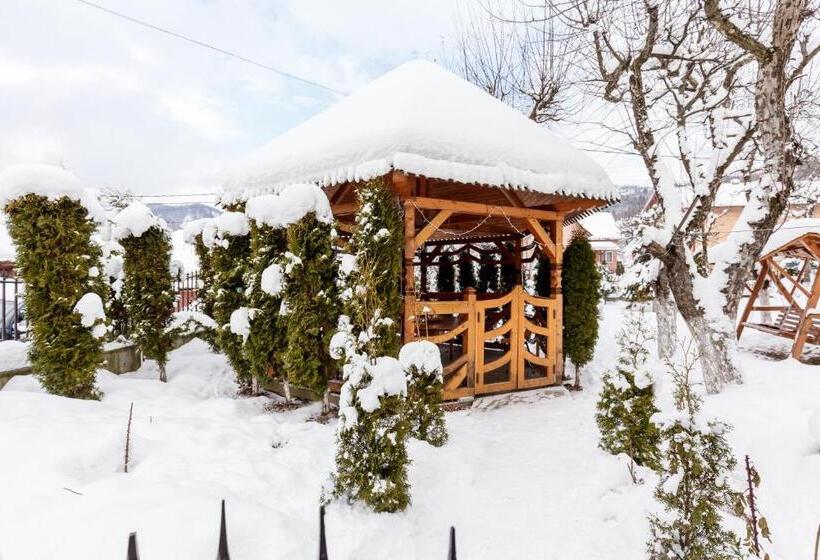 ペンション Vila Fan Confort