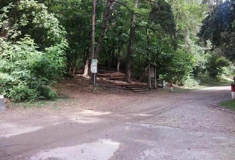 ペンション Villa Donar