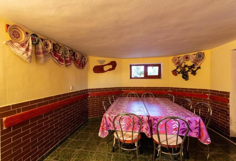 Pensiunea Casa Porojan