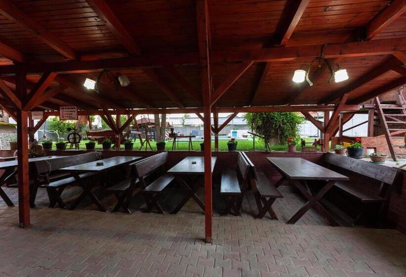 Pensiunea Casa Porojan