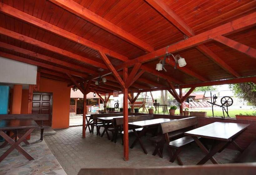 Pensiunea Casa Porojan