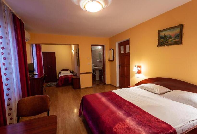 Pensiunea Casa Porojan